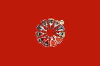 吕梁柳林回收红酒